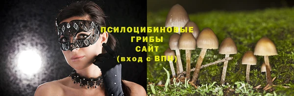 2c-b Абинск
